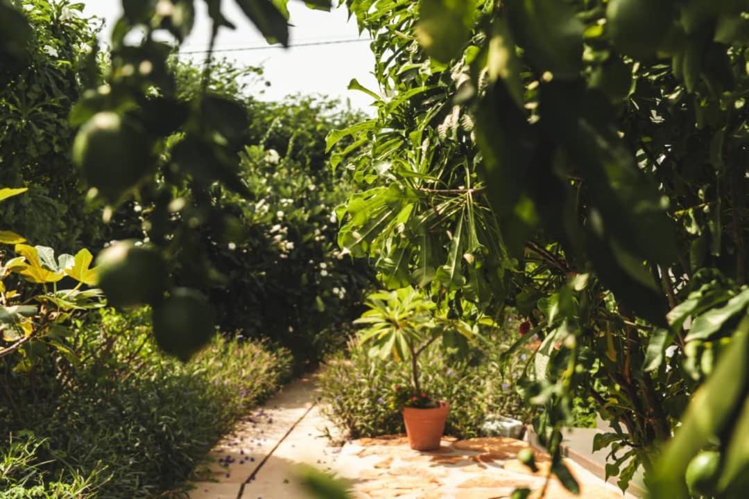 Belle Villa Popenguine Bagian luar foto